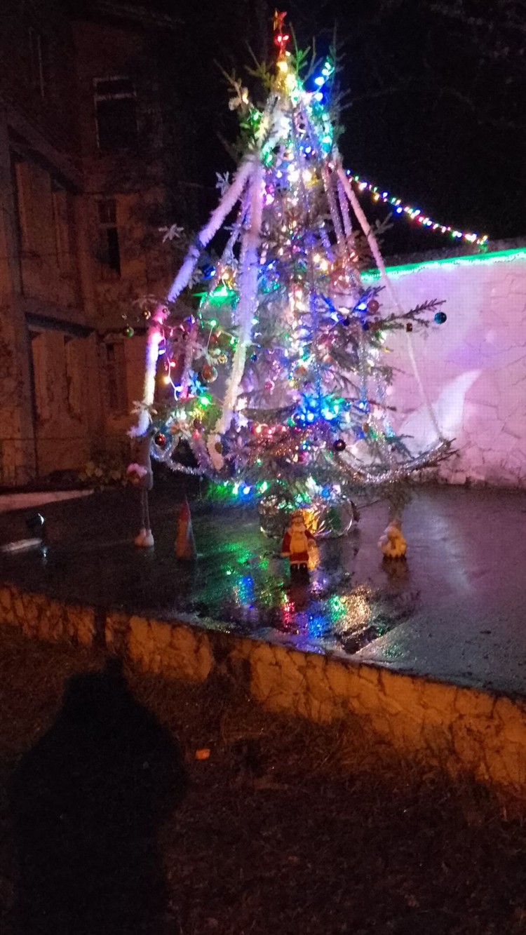Коледни светлини, коледно дърво, село Градево, Николай Филимонов