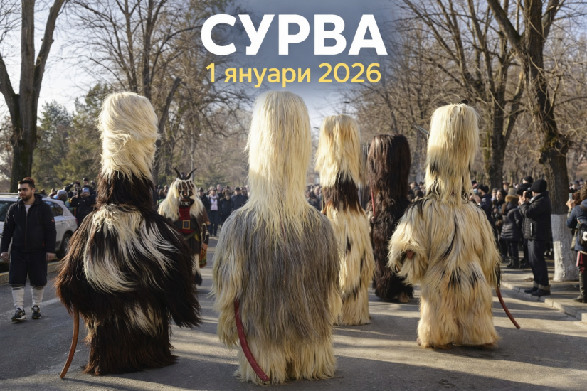 Община Симитли (121), Симитли Инфо (3418), Сурва 2026, Сурва (612), 1 януари (2602), кукери (78)