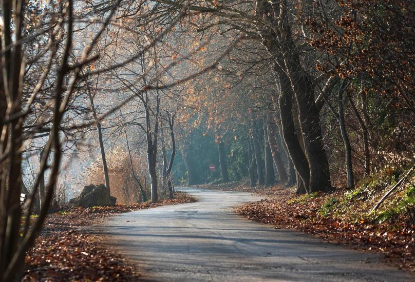 Община Симитли (121), СимитлиИнфо (3353), бедствено положение (717), проливен дъжд, свличане на земна маса, Апостол Апостолов
