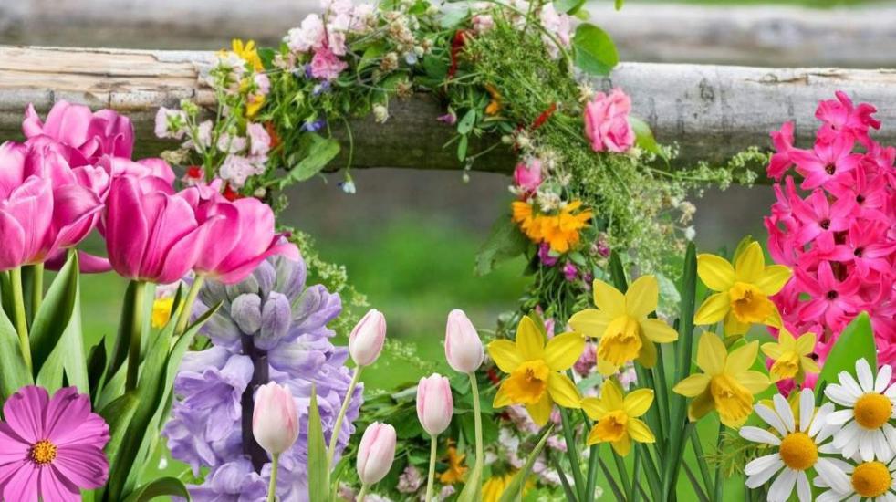 Община Симитли (121), Симитли Инфо (3418), Цветница (331), Празник (38), традиции