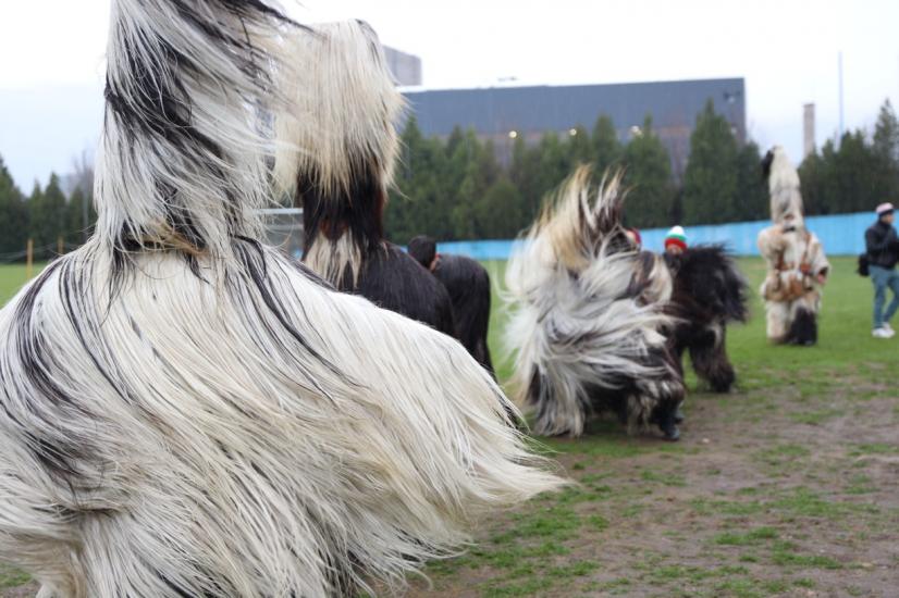 Община Симитли (121), Симитли Инфо (3418), „Симитлия – Древната земя на кукерите“ 2026 (3349), село Бачево, кукери (78)