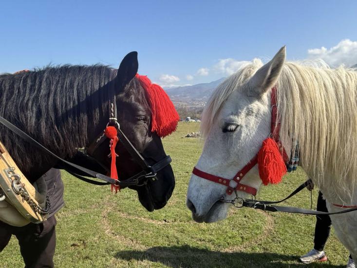 Тодоровден, Свети Тодор, празник, коне