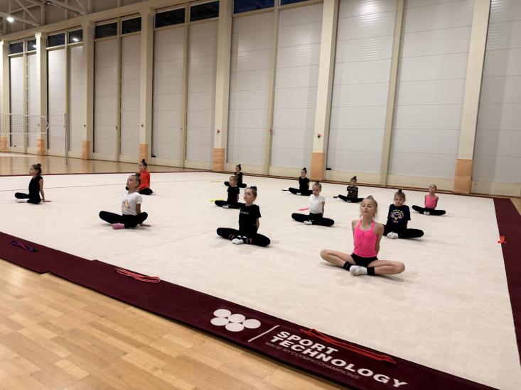 Община Симитли (121), СимитлиИнфо (3353), художествена гимнастика (1506), СКХГ “АРТИСТИКА”, нов клуб по художествена гимнастика, деца (207)