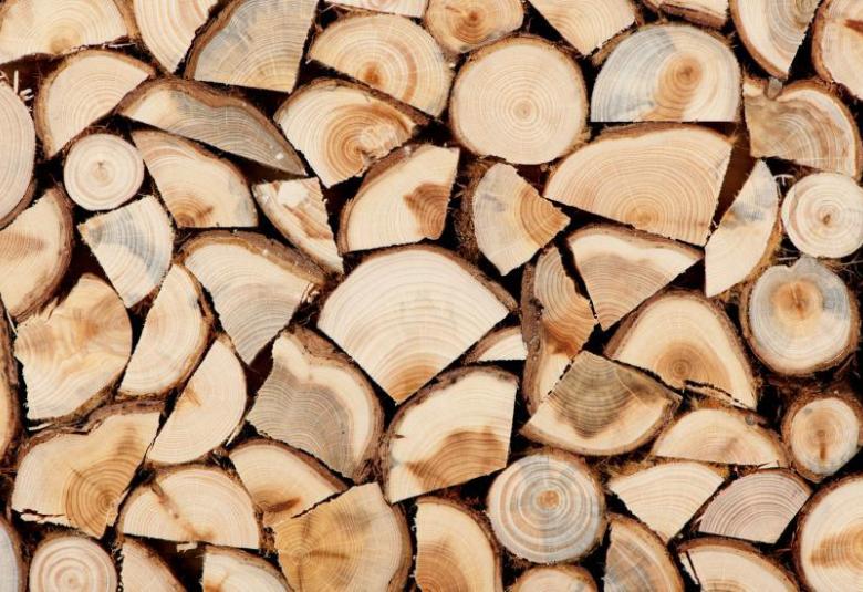 Община Симитли (121), Симитли Инфо (3418), заявления (2217), дърва за огрев (574), кампания (1778)