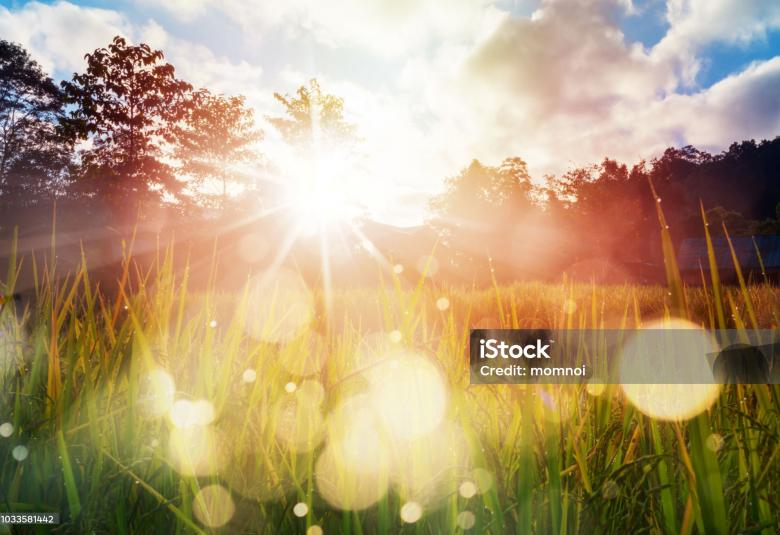 Община Симитли (121), Валентина (165), здраве (3186), болница „Св. Анна“, Валентина Ружинска (3134)