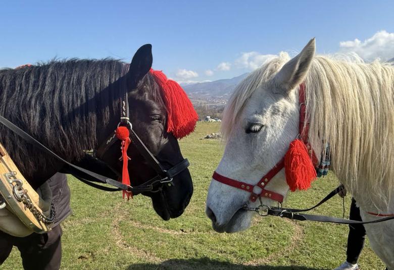 Тодоровден, Свети Тодор, празник, коне