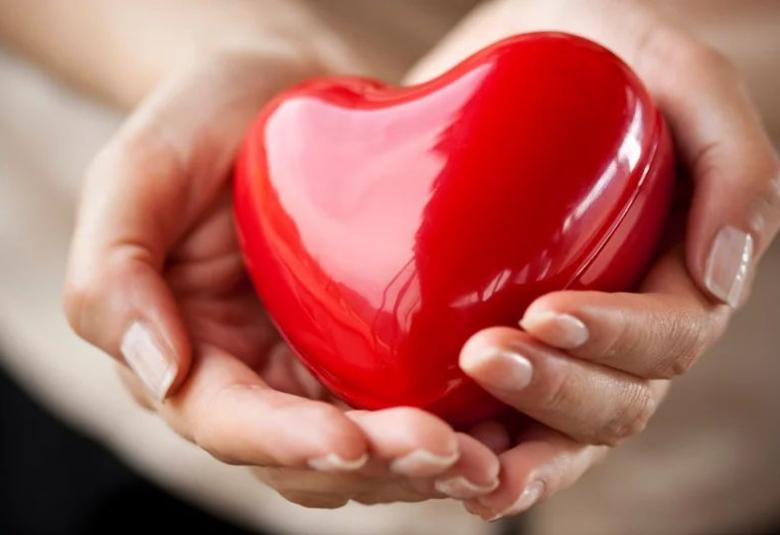 Международен ден (668), Световния ден на добротата (3376), Международния ден на слепите (3377), Световния ден на качеството (3378), 13 ноември (3379)