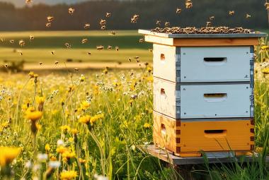 Симитли Инфо (3418), 10 февруари, Харалампий (164), Свети Харалампий (1151), мед (1975), пчелари (1973)