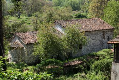 Община Симитли (121), СимитлиИнфо (3353), Градево (211), Овнарска махала (984), курбан (493), Никулден (708), Празник (38)