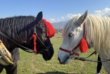 Тодоровден, Свети Тодор, празник, коне