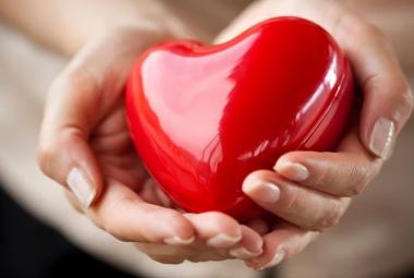 Международен ден (668), Световния ден на добротата (3376), Международния ден на слепите (3377), Световния ден на качеството (3378), 13 ноември (3379)