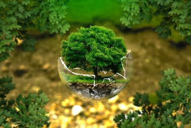 Световния ден на околната среда, 5 юни